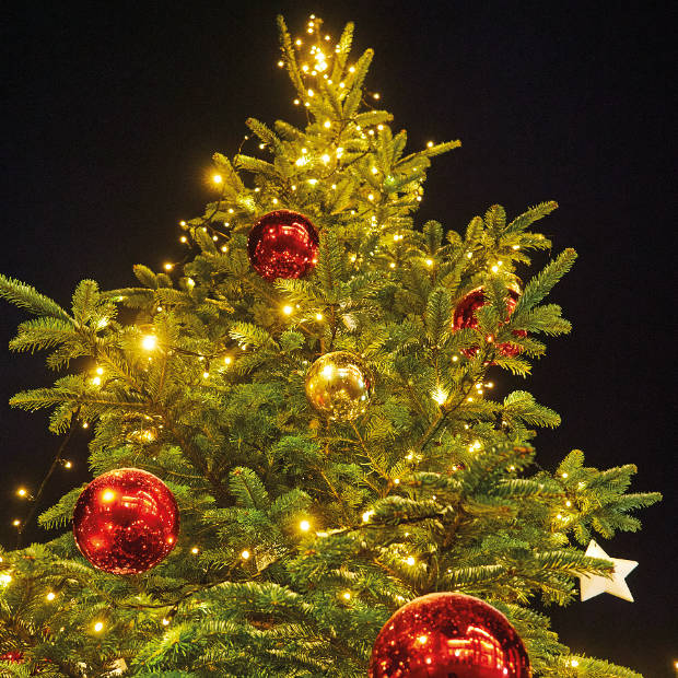 Weihnachtsbaum, Foto: Jan-Peter Wahlmann