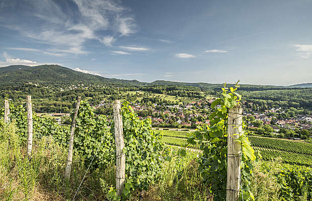Blick vom Römerberg, Foto: Michael Spiegelhalter